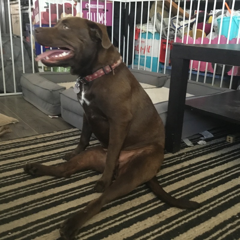 yes, she ACTUALLY sits like this! LoL!! 