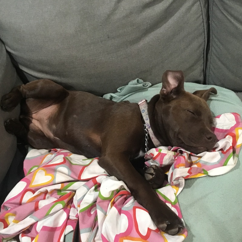 Sleeping Baby Bella