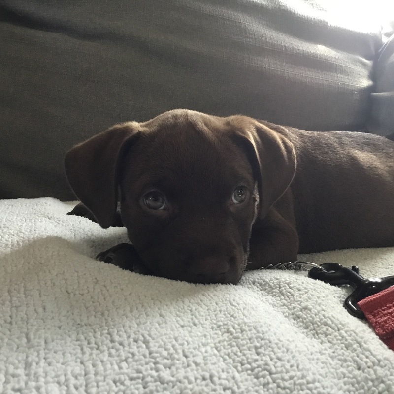 Baby Bella